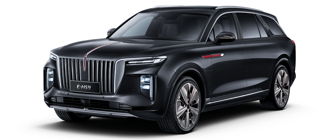 HongQi E-HS9 in Phantom Night Black II