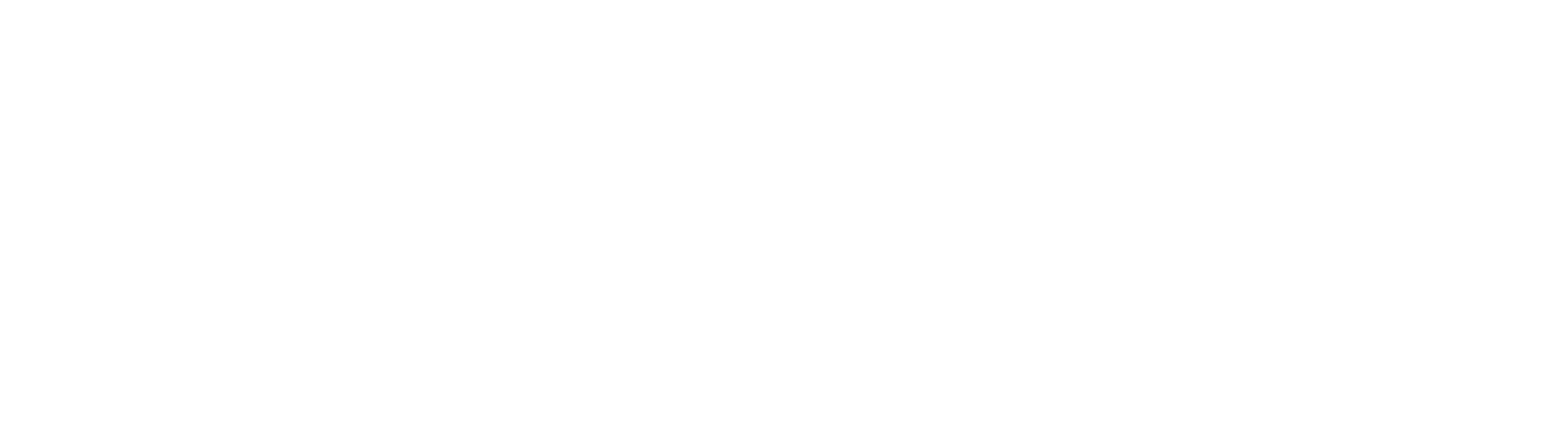 HONGQI